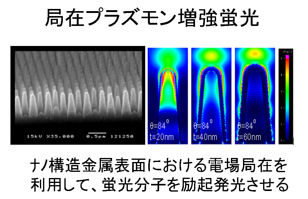 局在プラズモン蛍光増強