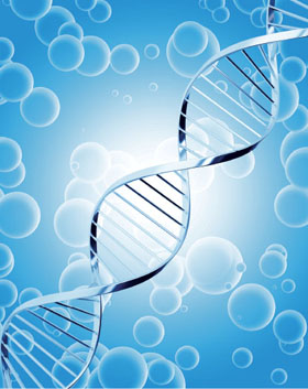 DNAの２重らせん構造