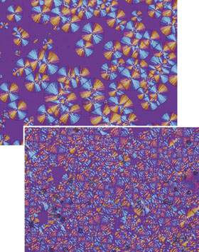 高分子と炭酸カルシウムの複合体薄膜