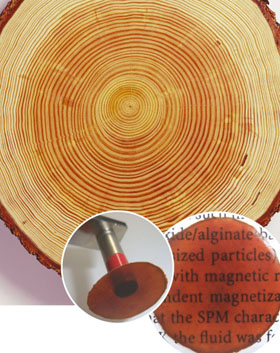 木質由来の超常磁性材料